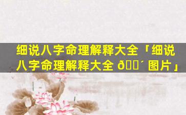 细说八字命理解释大全「细说八字命理解释大全 🌴 图片」